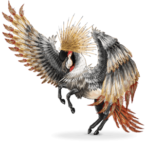 madár vándor ló balearica