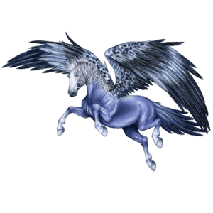 madár vándor ló melopsis