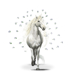 madár vándor ló pavos