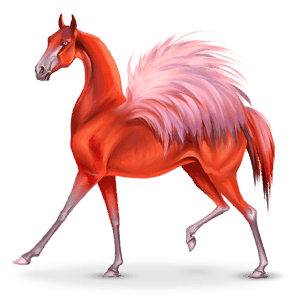 madár vándor ló phoenico